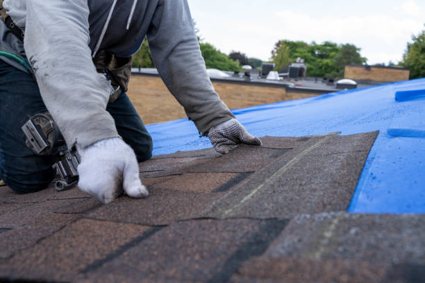 Professional Roofing Contractor in Hastings, MN